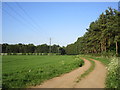 Farm track and footpath to Branston