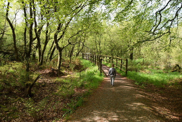 Path, Loughmacrory