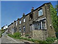 Terrace at Hill Top, Netherton