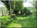 Llwybr Ceffyl Bronwydd / Bronwydd Bridleway