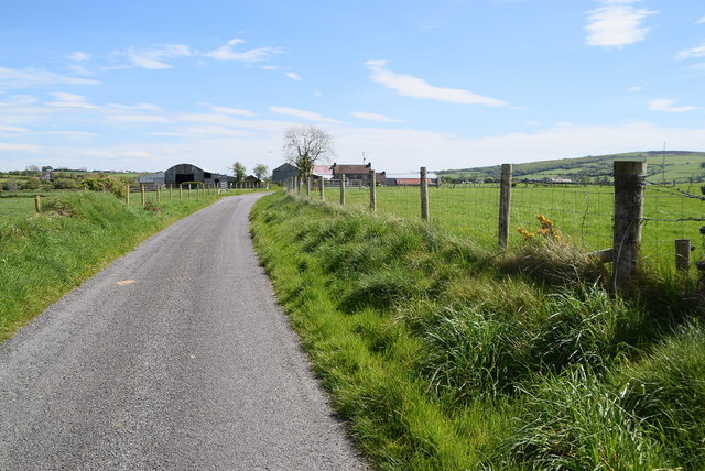 Speerholme Road, Speerholme © Kenneth Allen :: Geograph Ireland