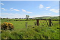 Gate, Speerholme