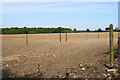TQ2954 : Footpath across a field by Bill Boaden