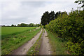 Burgh Footpath towards Burgh Castle