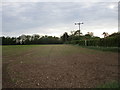 Sown field near Longhills Hall