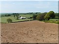 Farmland near Yarde Cross