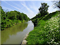 View east from Park Bridge, Kennet and Avon Canal, Devizes