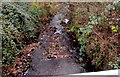 Downstream along Nant Caeach, Ystrad Mynach