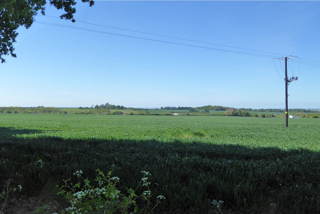 Field north of Elverland Lane