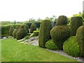 NZ2256 : Topiary at Birkheads Secret Gardens by Oliver Dixon
