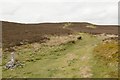 SJ1267 : Offa's Dyke path, Penycloddiau by Mark Anderson