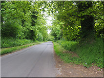 TF8504 : View up minor road from All Saints Church by David Pashley