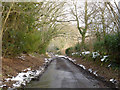 Gibsons Lane towards Punnett