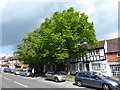 Haslemere- an idyllic town (22)