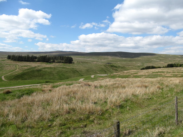 View to plantation at Seavy Rigg