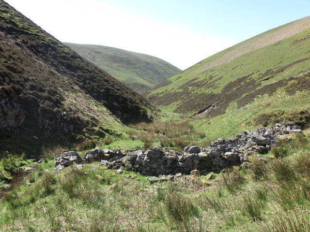Circular sheep stell (ruined) alongside Rowhope Burn
