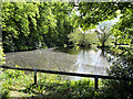 Small Reservoir at Carrbrook