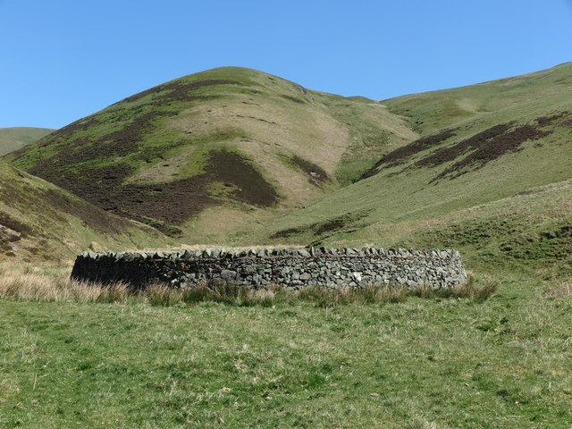 Circular sheep stell (sheepfold) in the valley of the Rowhope Burn