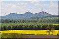 Eildon Hills from Dalcove Mains