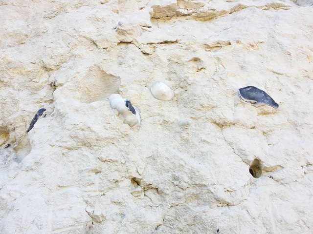 Flint Nodules in the Chalk Cliffs at St Margaret's Bay