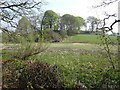 A vegetated loch, Rusko