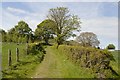SJ0778 : Bridleway and Offa's Dyke path near Bryn Cnewyllyn by Mark Anderson