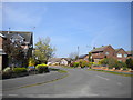 South end of Ladywood Avenue, Belper