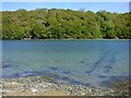 The River Fal, Philleigh