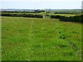 Farmland, St Gennys