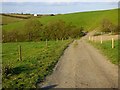 Track and pasture, St Gennys