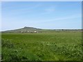 Looking towards Penberi from entrance to Mynydd Du