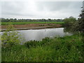 The River Severn, Atcham