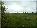 Farmland of the B4394, Uckington 