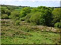 Scrub and woodland, Wendron