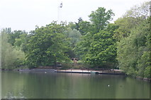 TQ3470 : View of a moose by the lake in Crystal Palace Park by Robert Lamb