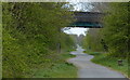 SJ3469 : Bridge crossing the Chester Railway Path by Mat Fascione