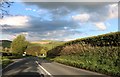 Entering Llanfihangel-Nant-Melan on the A44