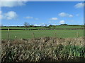 SP6692 : Farmland north-east of Saddington by Christine Johnstone