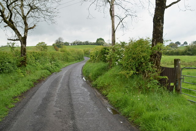 Wet along Blackfort Avenue © Kenneth Allen cc-by-sa/2.0 :: Geograph Ireland