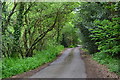 Private road through the woods