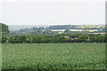 Wheat field near Chaldon