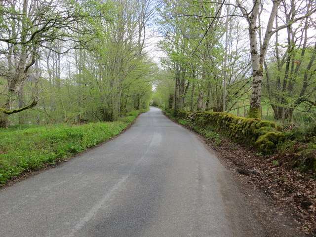 Road on the south-eastern shore of Loch Tay heading towards Kenmore