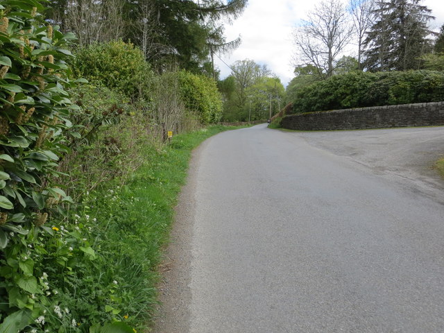 Road on the south-eastern shore of Loch Tay near to Remony