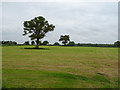 Cut silage field north of Watling Street (A5)