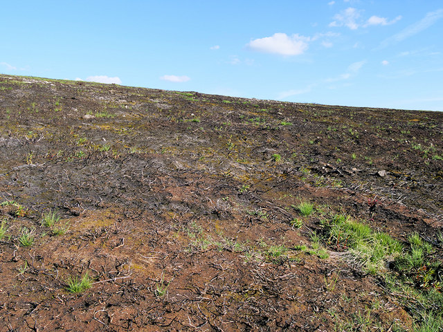Scorched Earth, Saddleworth Moor