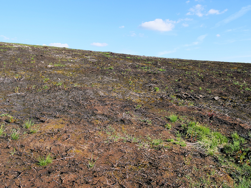 Scorched Earth, Saddleworth Moor © David Dixon :: Geograph Britain And 