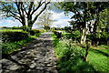 Tree shadows along Lisleen Road