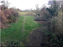 SP3065 : Mill House open space, Leamington, early winter by Robin Stott