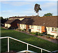 Bungalows below Malpas Road, Newport