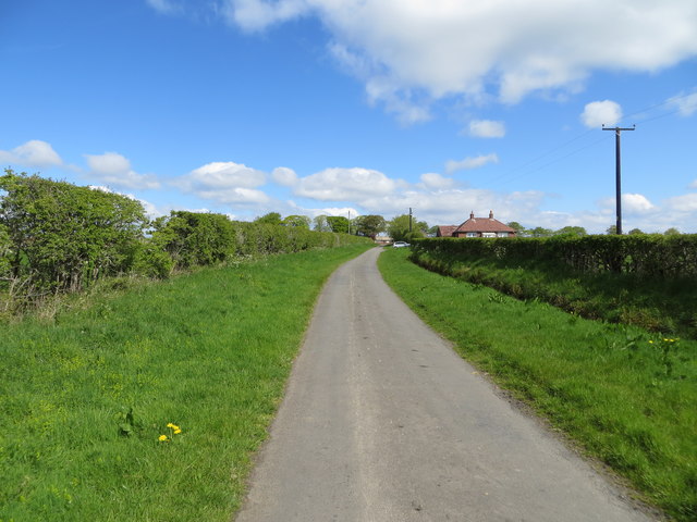 Hedge-lined minor road approaching Cubbyhill Cottage